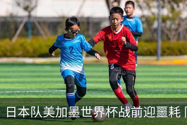 日本队美加墨世界杯战前迎噩耗 队长远藤航因伤退出